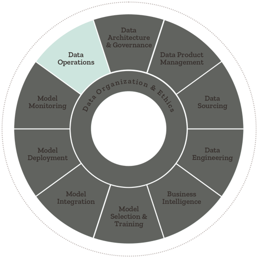 Data Operations AIQ