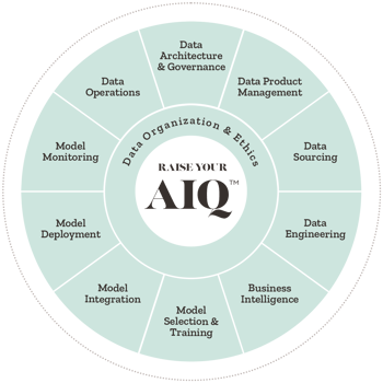 How Should My Company Prioritize AIQ™ Capabilities?