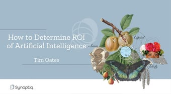 How to Determine ROI of AI by Tim Oates with collage of fruit, butterfly, and two heads.