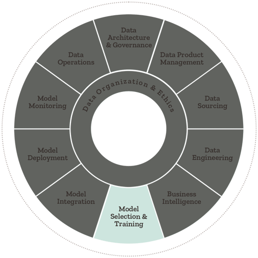 Model Selection & Training AIQ