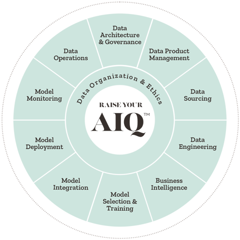 A circular diagram divided into eight segments, each representing a different aspect of data management and analytics, with Raise your AIQ in the center.