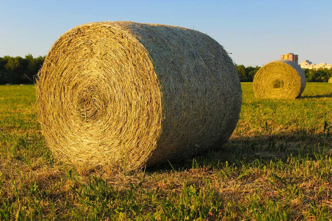 Featured Image