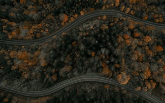 An aerial view of a winding road surrounded by dense forests.