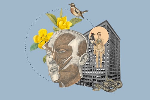 Collage with anatomical head, body overlaying a building with a bird and yellow flowers.