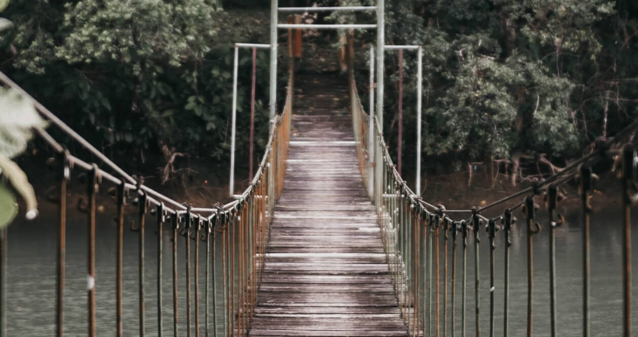 Wooden suspension bridge in a forested area