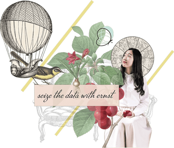 Collage of girl, balloon, bird, and butterfly, with seize the data with ernst text