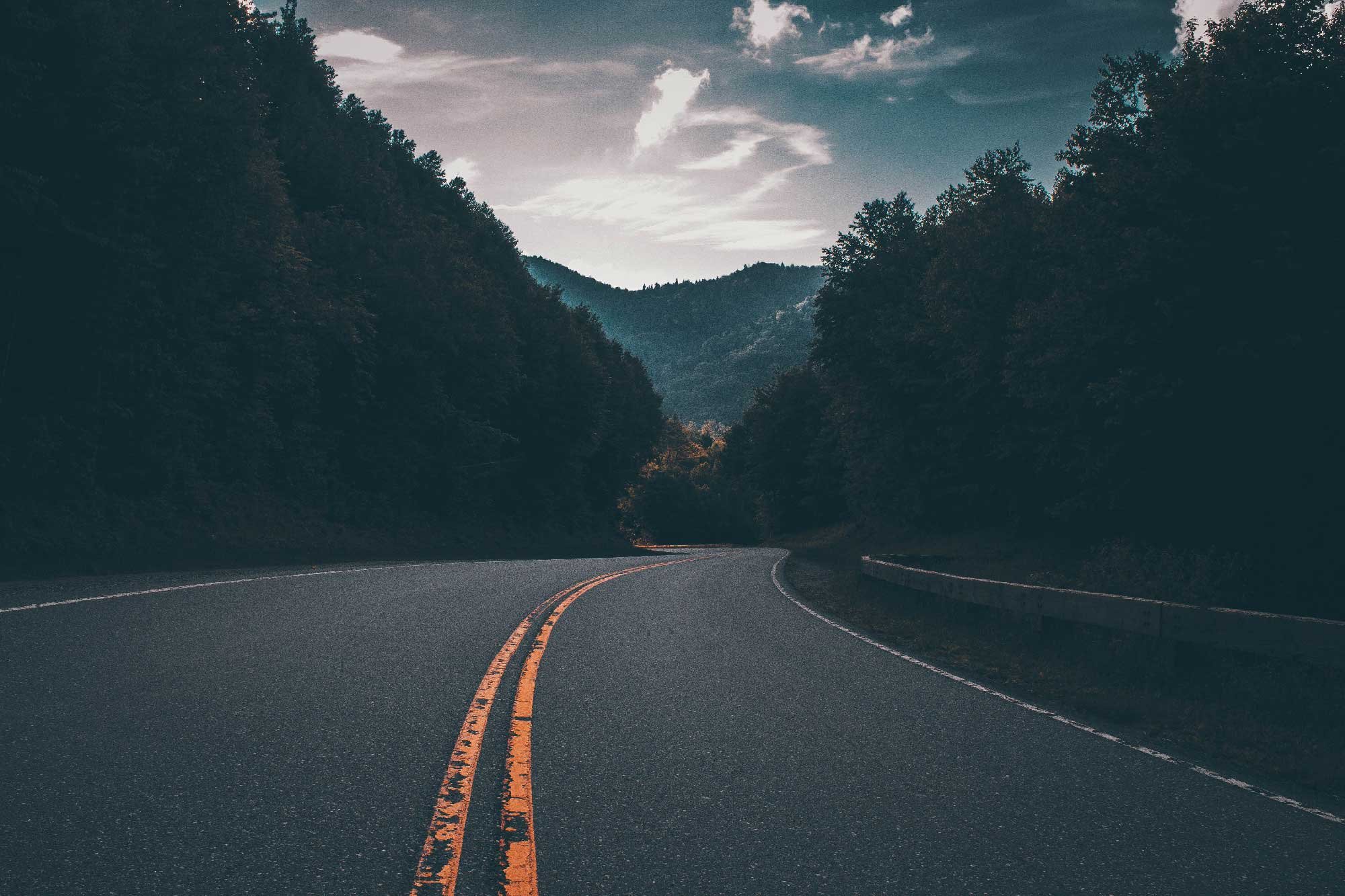 A winding road surrounded by dense trees and mountains in the background.