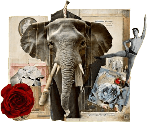 A collage with an elephant, red rose, acrobat