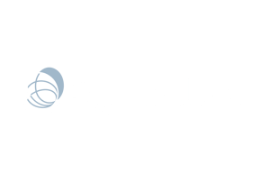 synaptiq-logo-rgb_arctic-white-horizontal-1