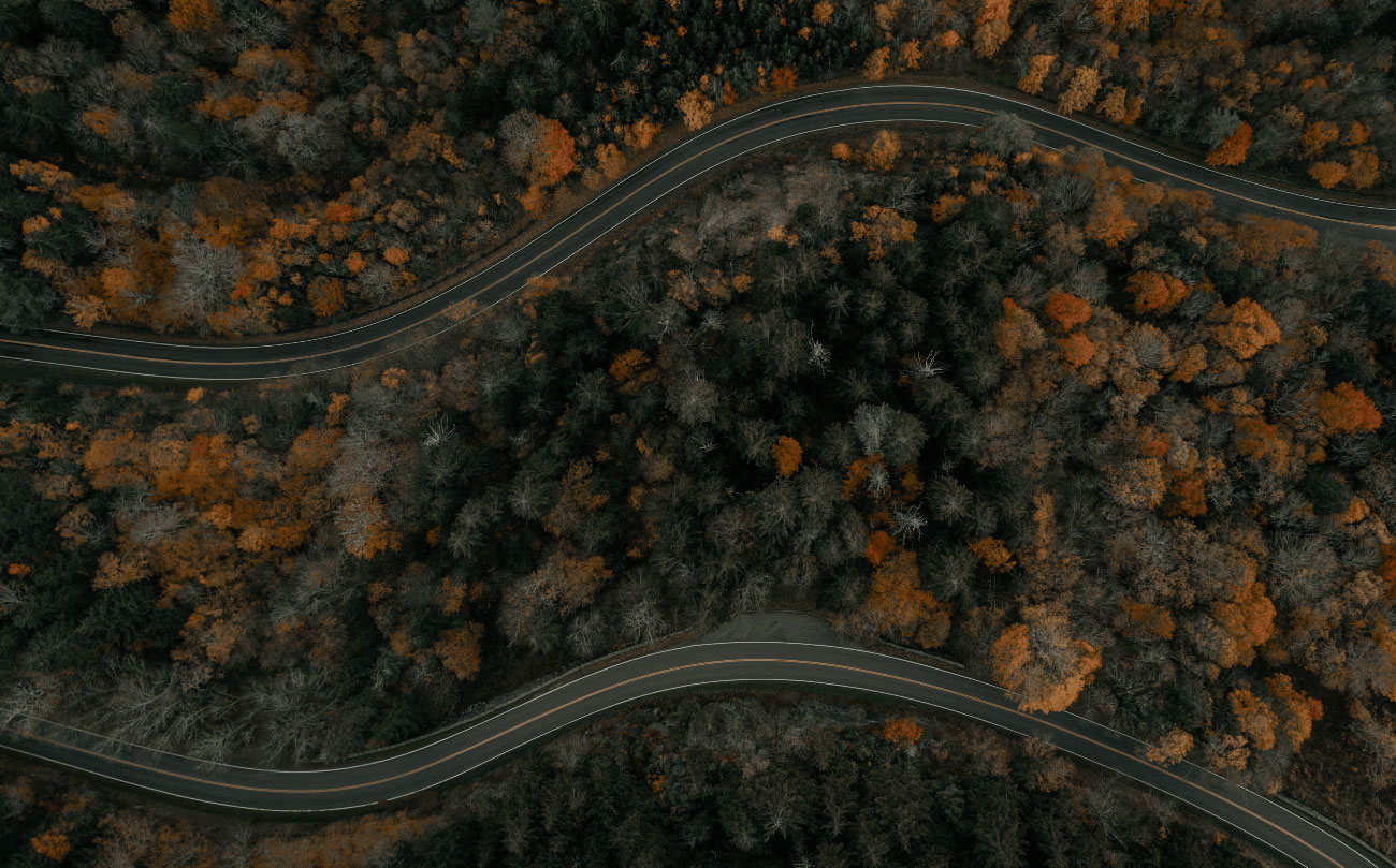 An aerial view of a winding road surrounded by dense forests.