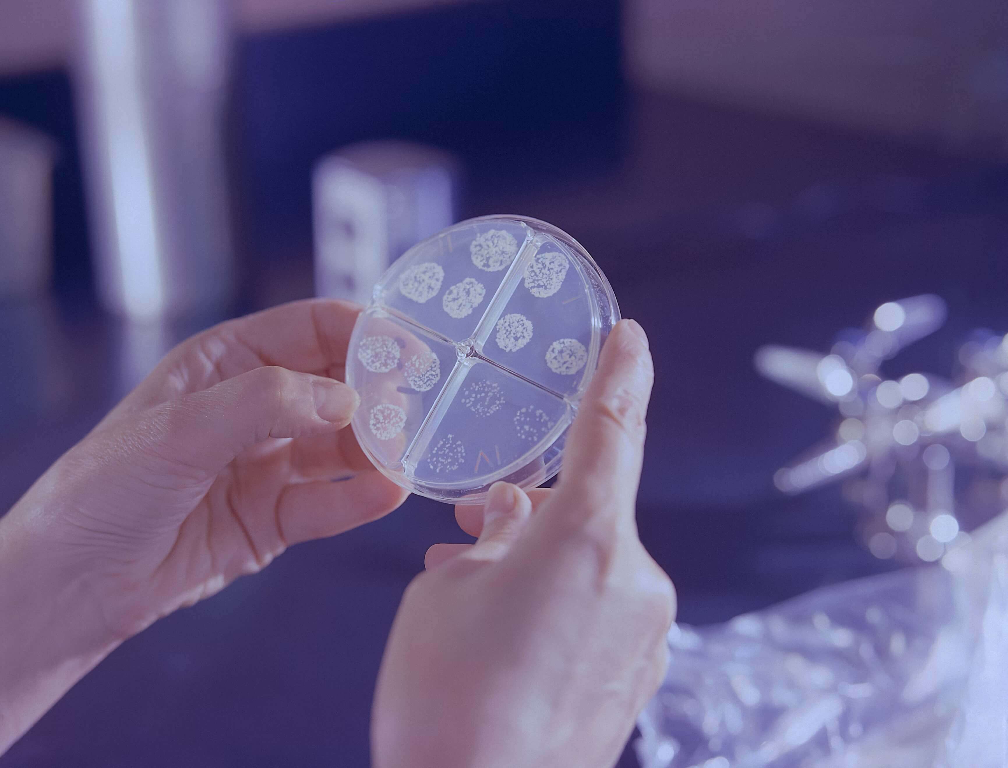 Petri Dish