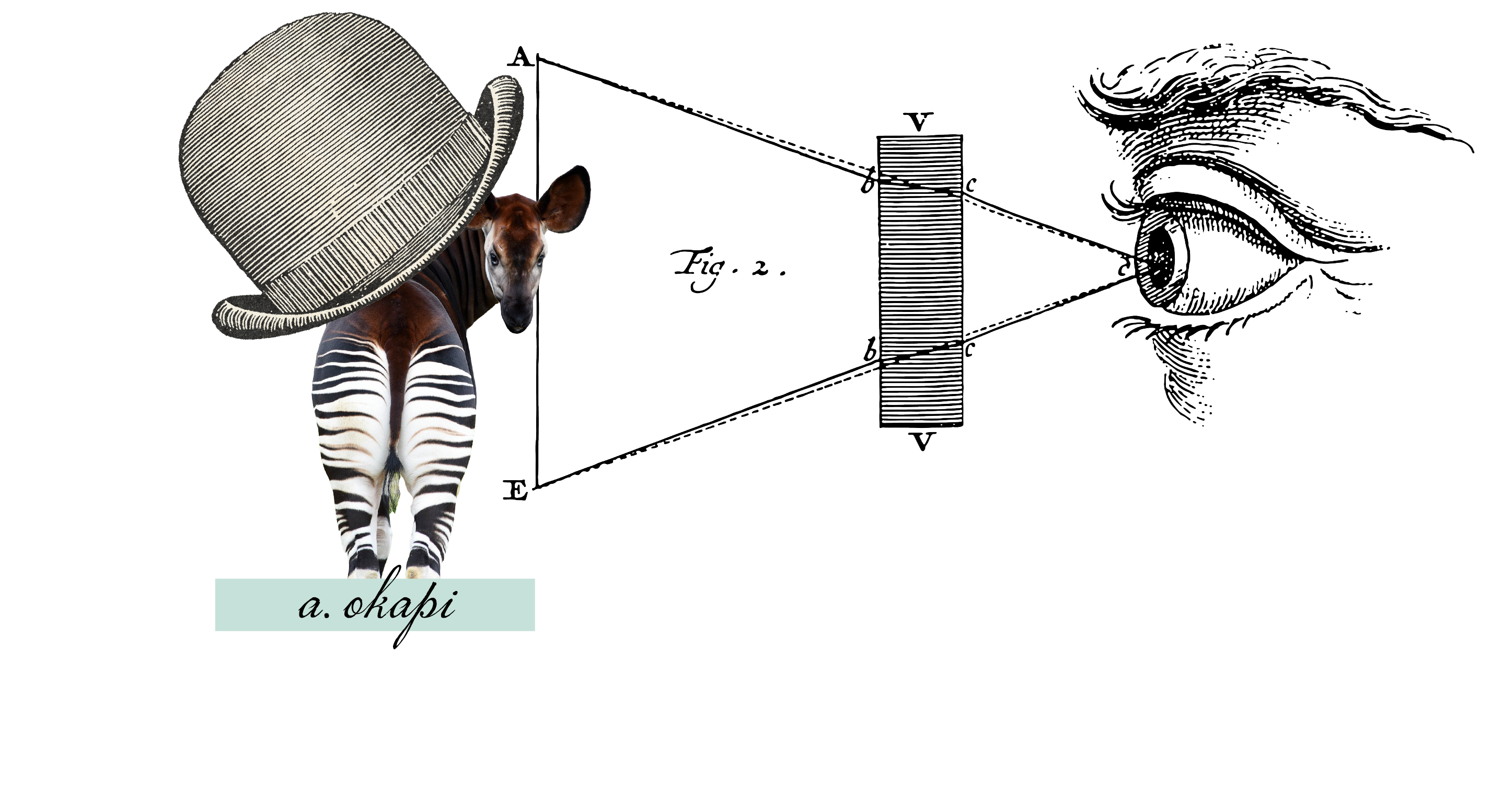 Parallax-homepage-02-01-01-01-01-01 Parallax-homepage-02-01-01-01-01-01