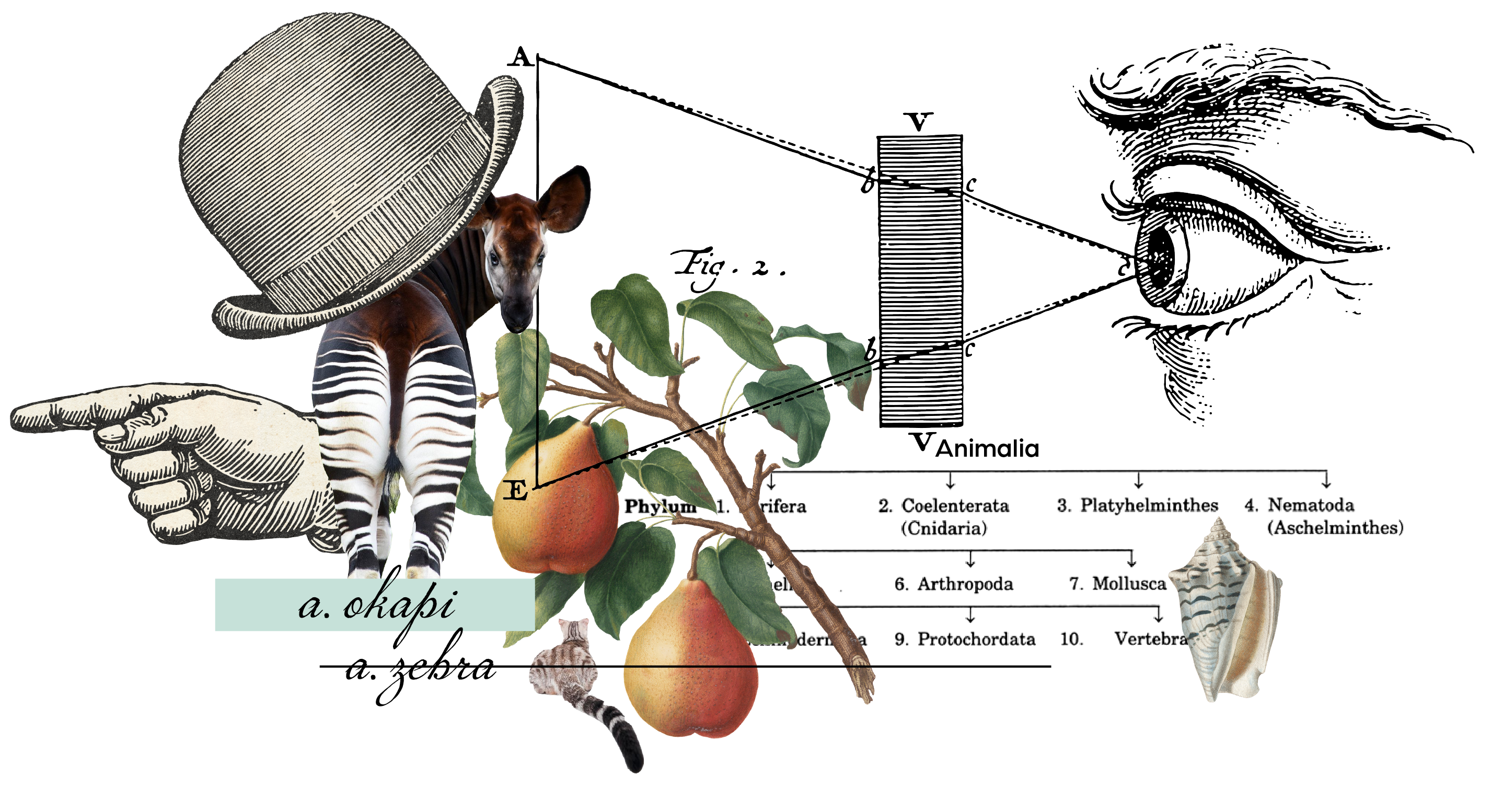 Parallax-homepage-05-01 Parallax-homepage-05-01