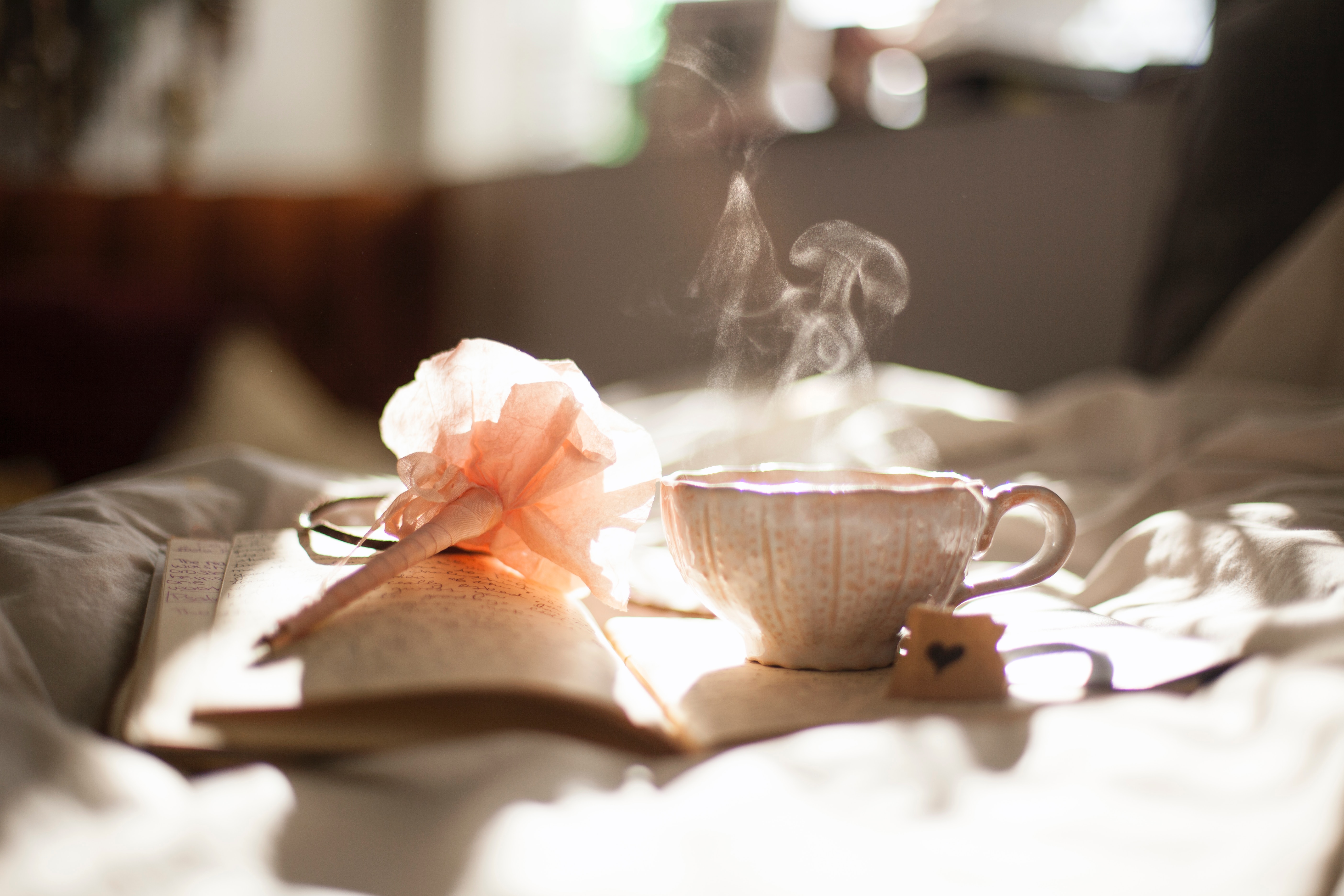 cup of tea and pink flower on an open book